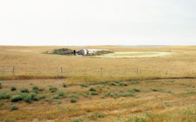 How to Increase Your Farm Ground: Tips for Pushing Back Property Lines After Harvest